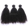 Grade 10A Brazilian Kinky Curly Hair for Black Women