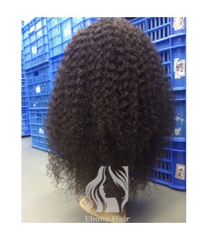 Brazilian Curly Human Hair Full Lace Wigs for Sale