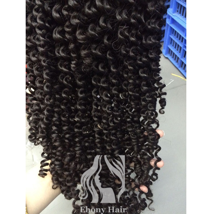 Brazilian Curly Human Hair Full Lace Wigs for Sale