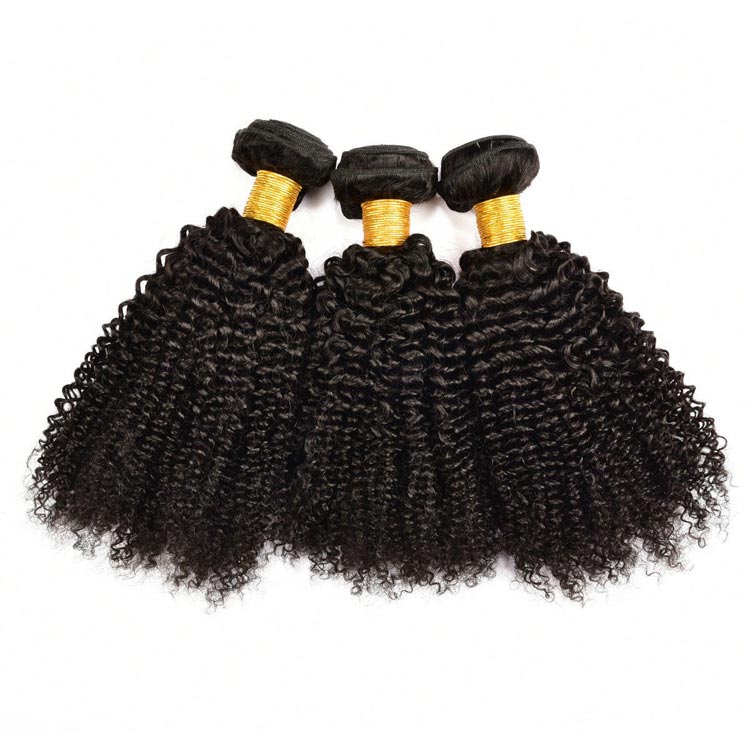 100 Virgin Brazilian Curly Hair for Black Women