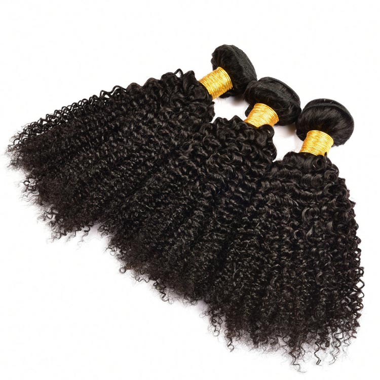 100 Virgin Brazilian Curly Hair for Black Women