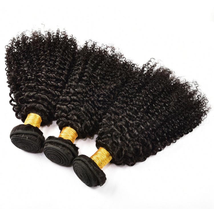 100 Virgin Brazilian Curly Hair for Black Women