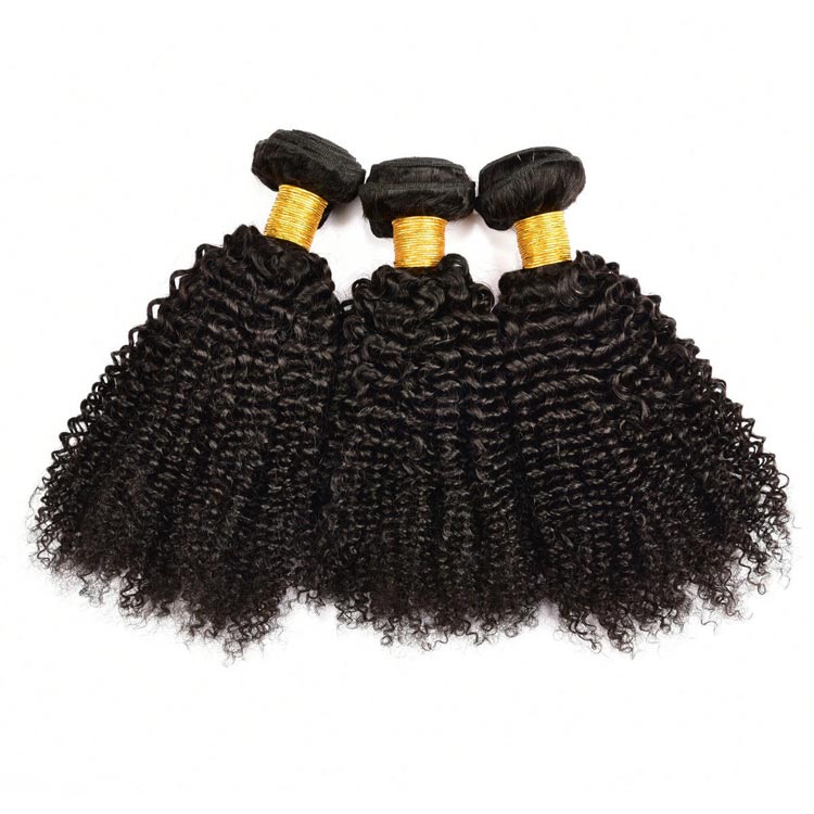 100 Virgin Malaysian Curly Hair for Black Women