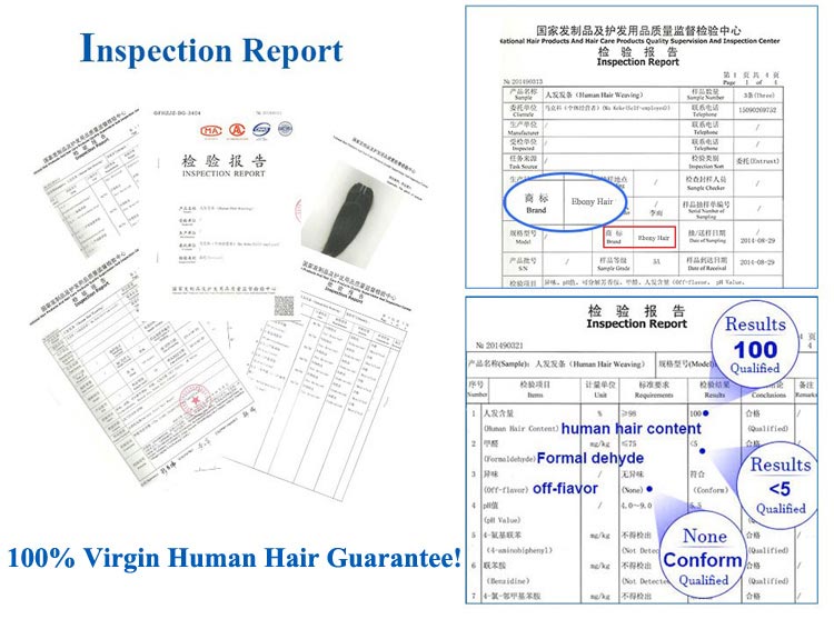 Des 100 Human Hair Inspection Report